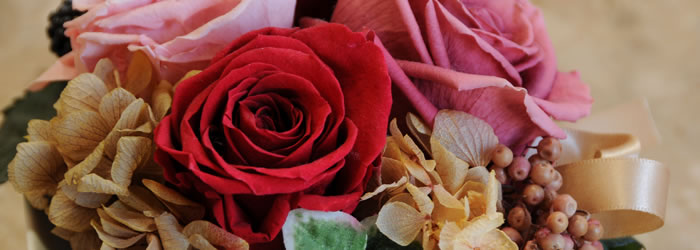 ���s�̔��e���E�w�A�T����WANNABE���i�r�[